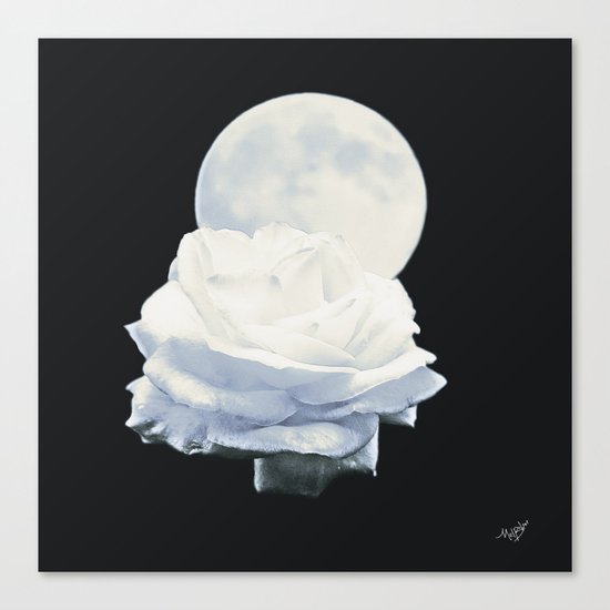Moon Rose (2) Canvas Print