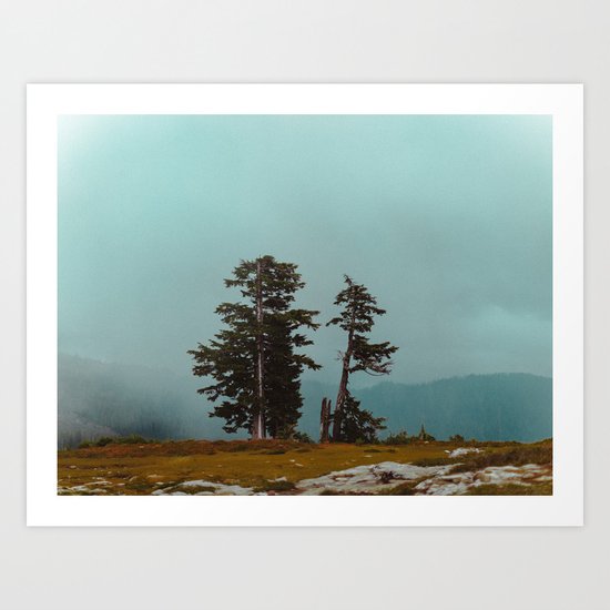 Pacific Northwest Wild Art Print