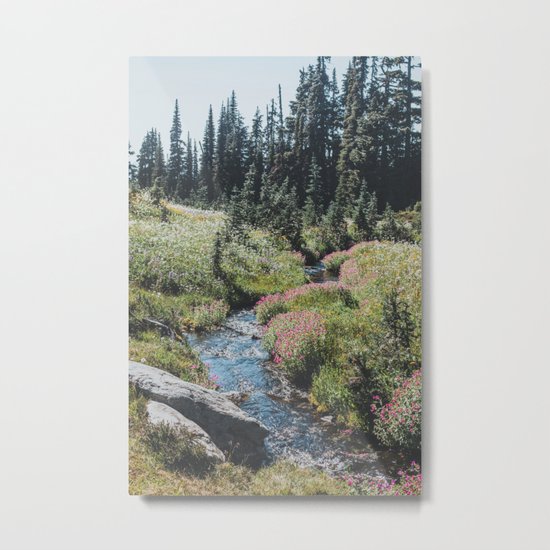 Garibaldi Provincial Park Metal Print