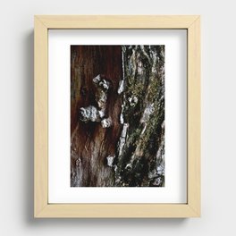 bark and moss Recessed Framed Print