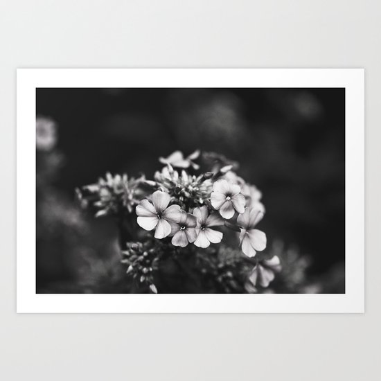 One hundred grey days Art Print