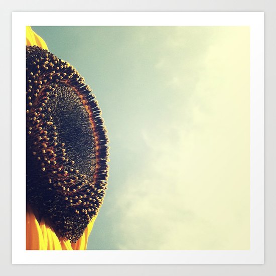 FLOWER 038 Art Print
