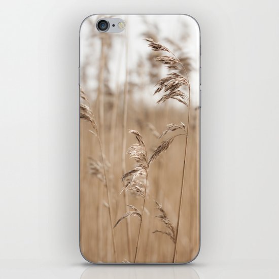 Spring Grass iPhone & iPod Skin