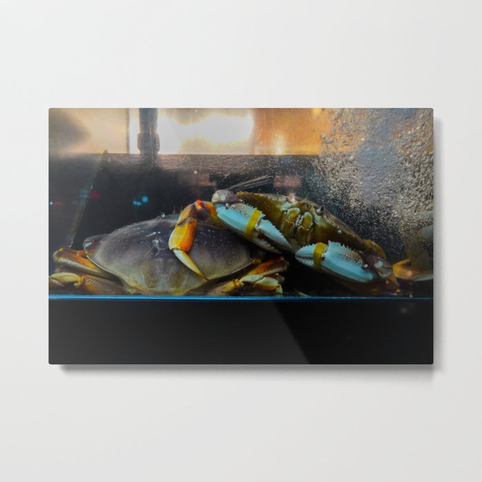 Crabs in a Catalogue & Book Cover Barrel Metal Print