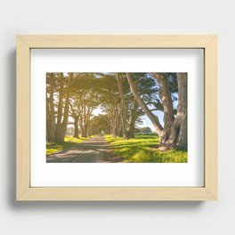  Cypress Tunnel Recessed Framed Print