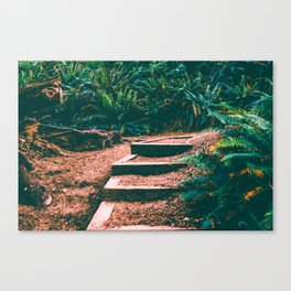 Forest Trail in the PNW | Travel Photography Canvas Print