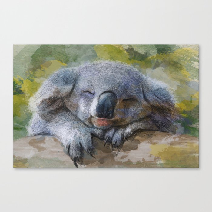 Sleeping koala Canvas Print