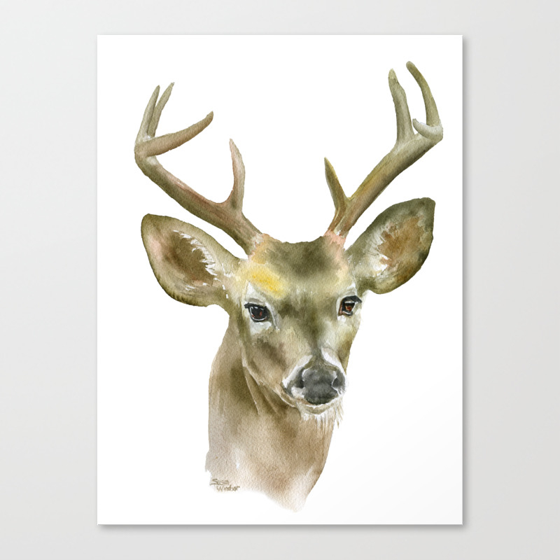 Buck Watercolor Painting Deer Fine Art Canvas Print By Susan Windsor | Society6