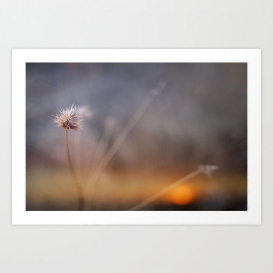Waiting for the night at sunrise Art Print