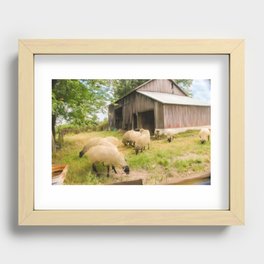 Little Sheep Recessed Framed Print