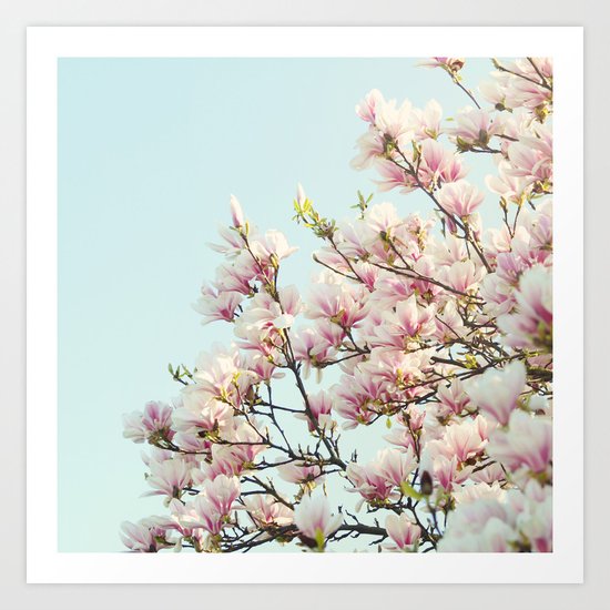 magnolias Art Print