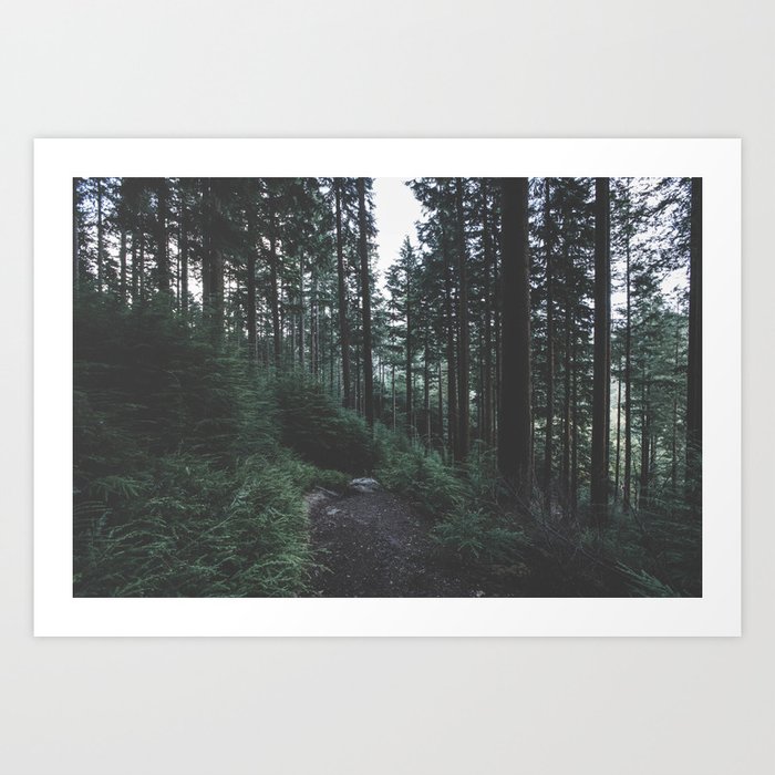 the forest Art Print