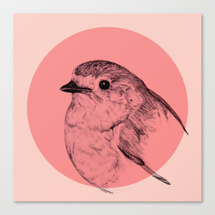 Robin - Red Bird Drawing Canvas Print
