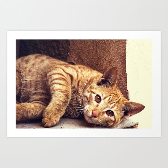 Cat roux Art Print