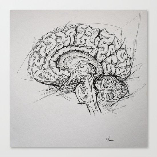 Brain Canvas Print