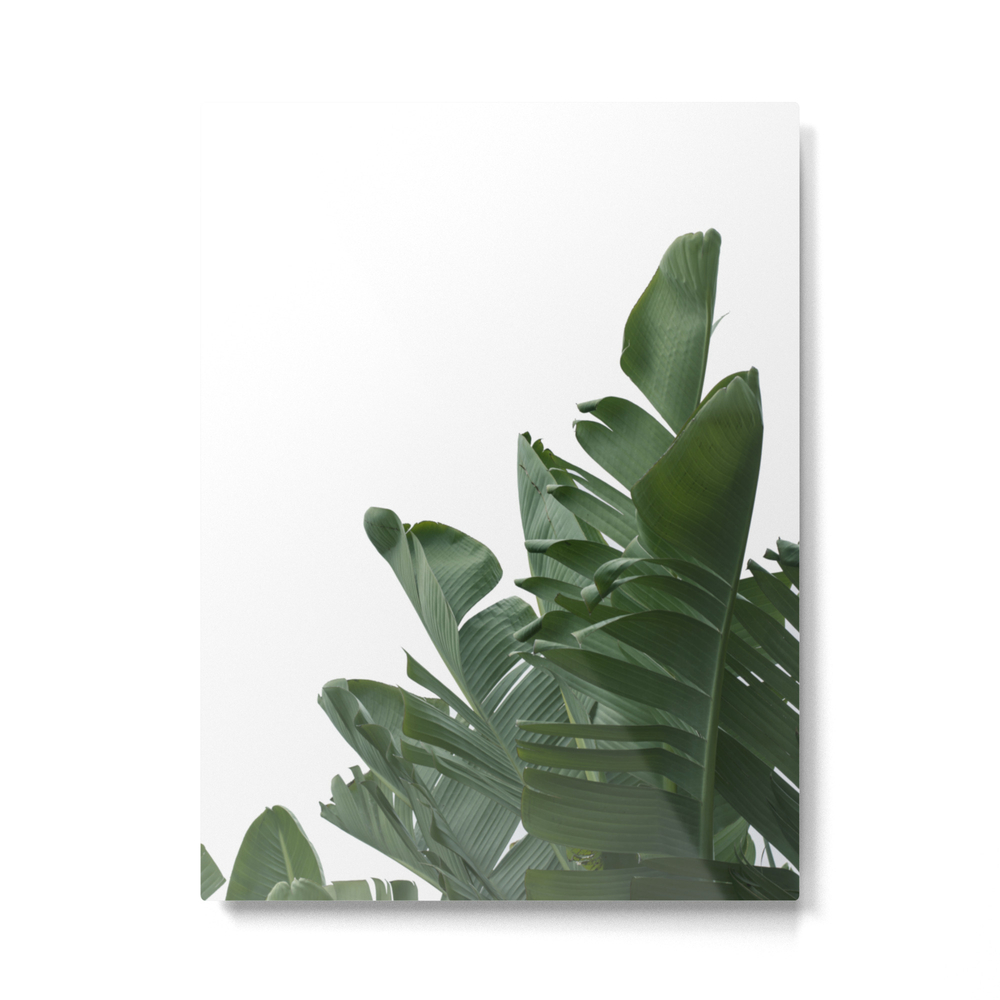 Banana Leaf 01 Metal Print by thecozyprintz