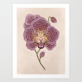 Wild Orchid Art Print