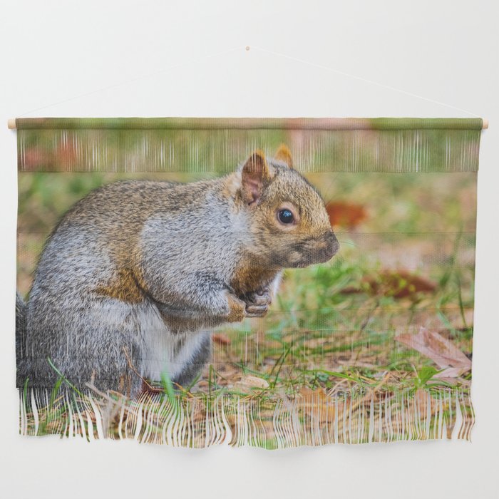 Cute Autumn Squirrel, Prepares for Winter Photograph Wall Hanging