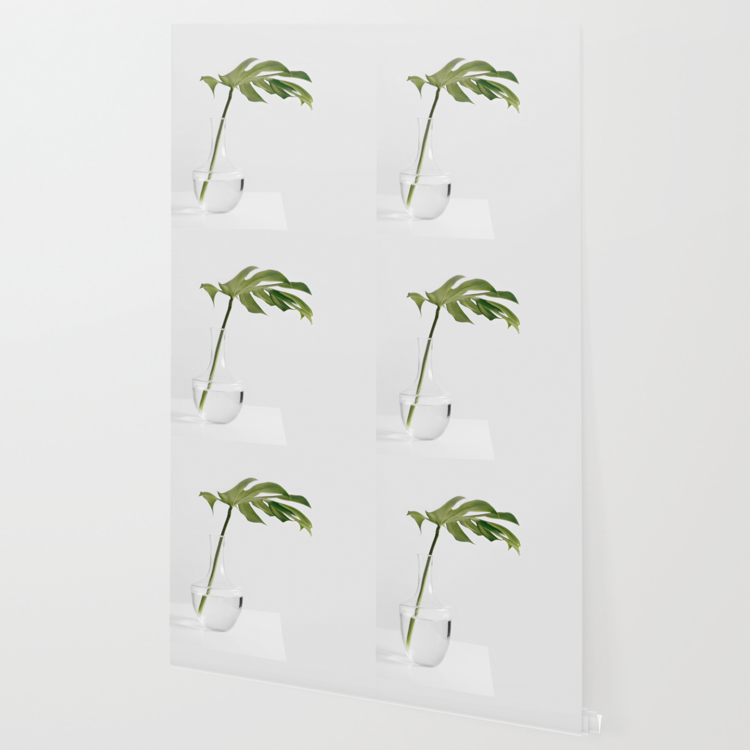 Single Monstera Leaf In Clear Glass Zen Minimalist House Plant