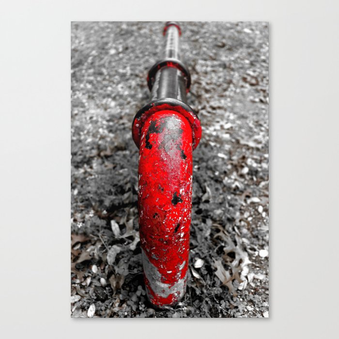Red Highlights Canvas Print