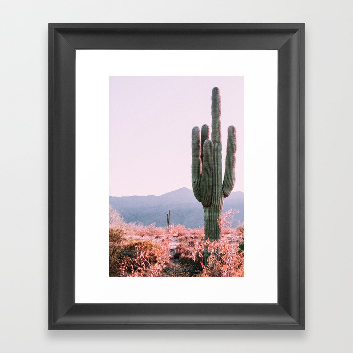 Pink Vintage Nature Photo of Cactus on Desert Hike - Phoenix Arizona USA Framed Art Print
