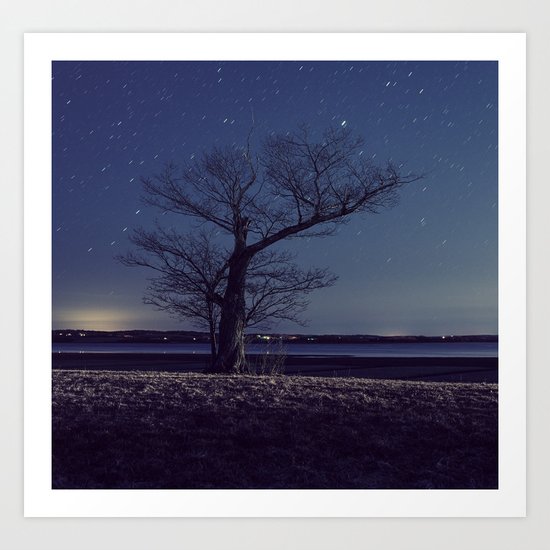 Canopy of Stars Art Print