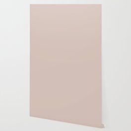 Agreeable Tanish Pink - Neutral - Pastel Solid Color Pairs To Sherwin Williams Abalone Shell SW 6050 Wallpaper
