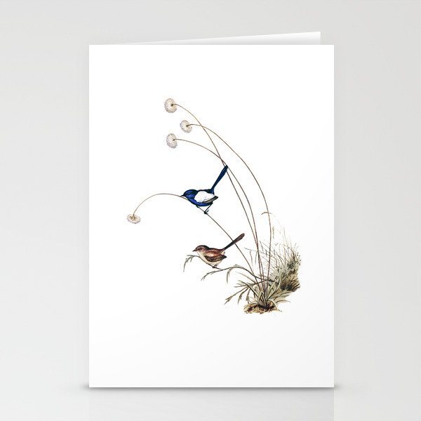 Vintage White Winged Wren Bird Illustration Stationery Cards