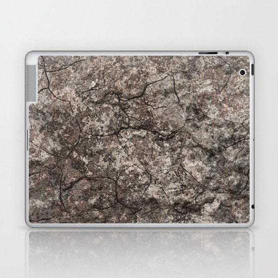 Dry soil Laptop & iPad Skin