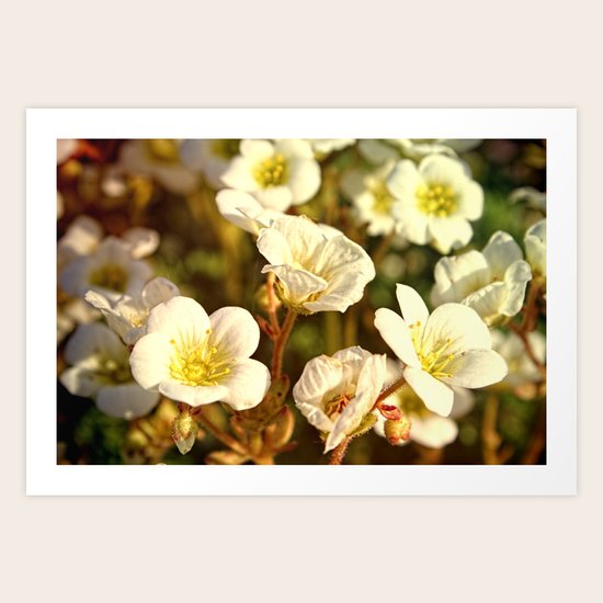 Peaceful Art Print