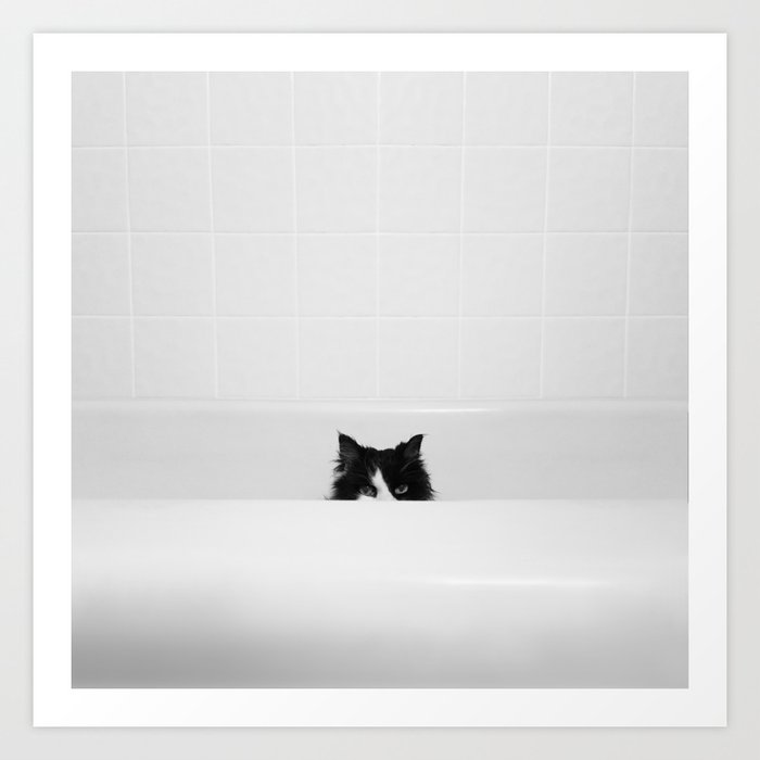 Black And White Cat In Bathtub Art, Cat In Bathtub Art
