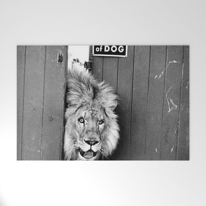Beware of Dog black and white photograph of attack lion humorous black and white photography Welcome Mat