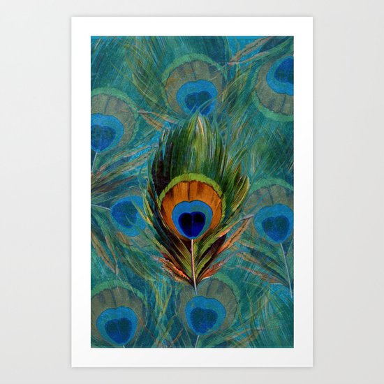Peacock Feathers Art Print