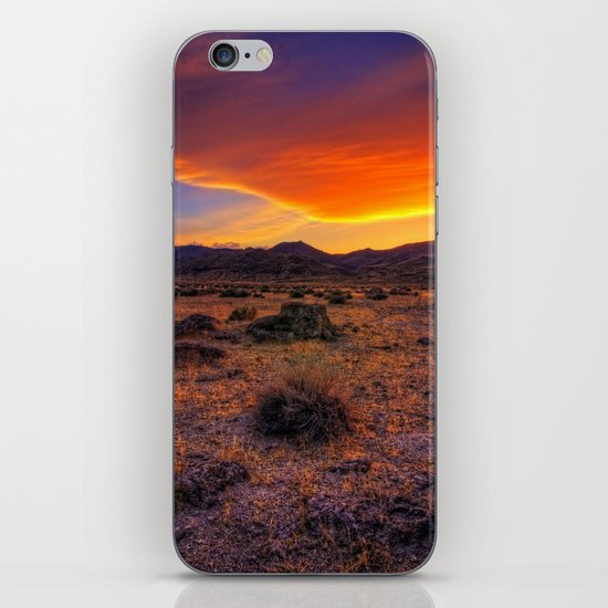 Desert Delight iPhone & iPod Skin