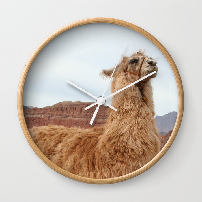 Argentina Photography - Llama In The Mountain Filled Desert Wall Clock