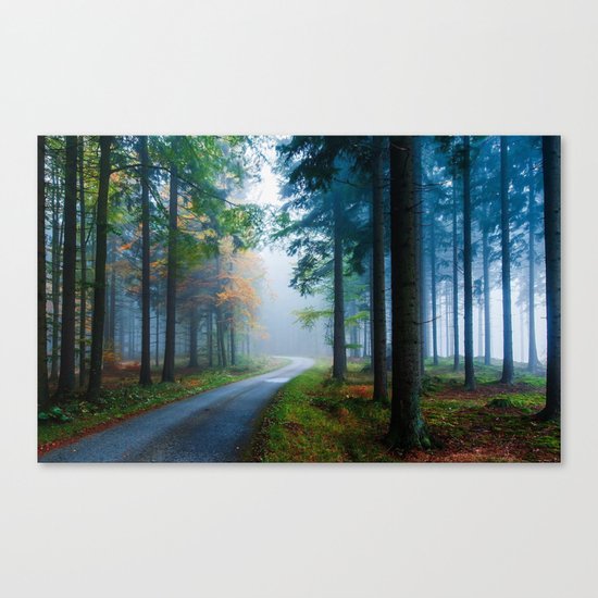 Misty woods Canvas Print