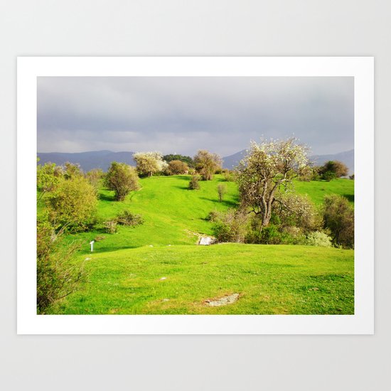 prespes.lakes.II.greece Art Print