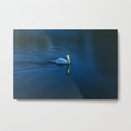 Swan Toward The Sun Metal Print | Float, Lake, Water, Color, Blue, Pool, Digital Manipulation, Sun, Pond, Swan 