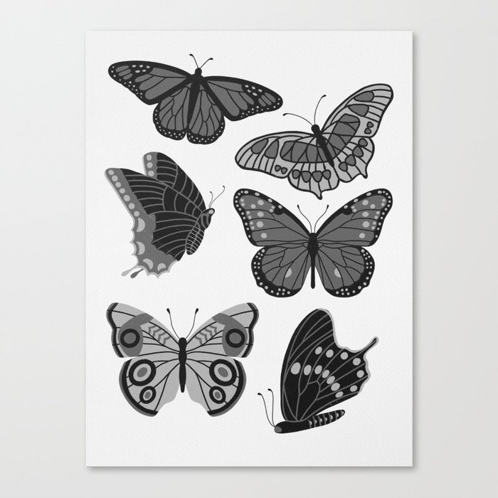 Texas Butterflies – Black and White Canvas Print