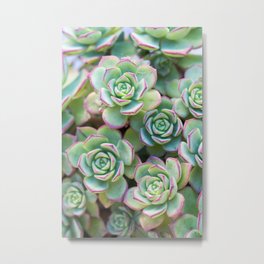 Green grass pattern Metal Print | Digital, Freshness, Close Up, Nature, Purple, Succulent, Plant, Photo, Pattern, Violet 