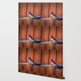Barn swallow 2 Wallpaper
