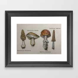 Field Notes: Mushrooms Framed Art Print