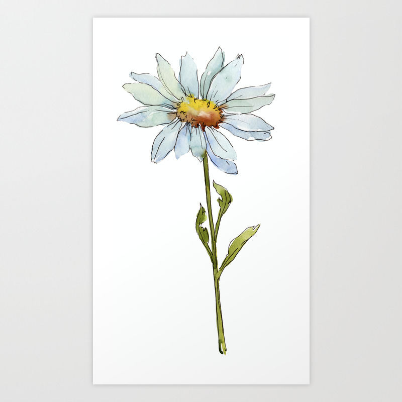 Frosty Blue Daisy Water-colour Painting Art Print