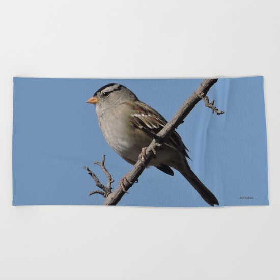 A White-Crowned Sparrow Eyes the Botanic Garden Beach Towel