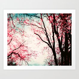 Forest Trees - Woodland - Nature - Landscape Pink Leaves photography by Ingrid Beddoes Art Print