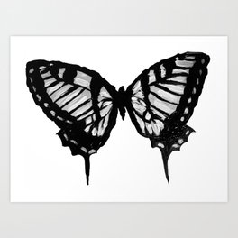 Painted Butterfly Art Print | Blackandwhite, Butterfly, Butterflies, Nature, Painting, Art, Insect, Natural 