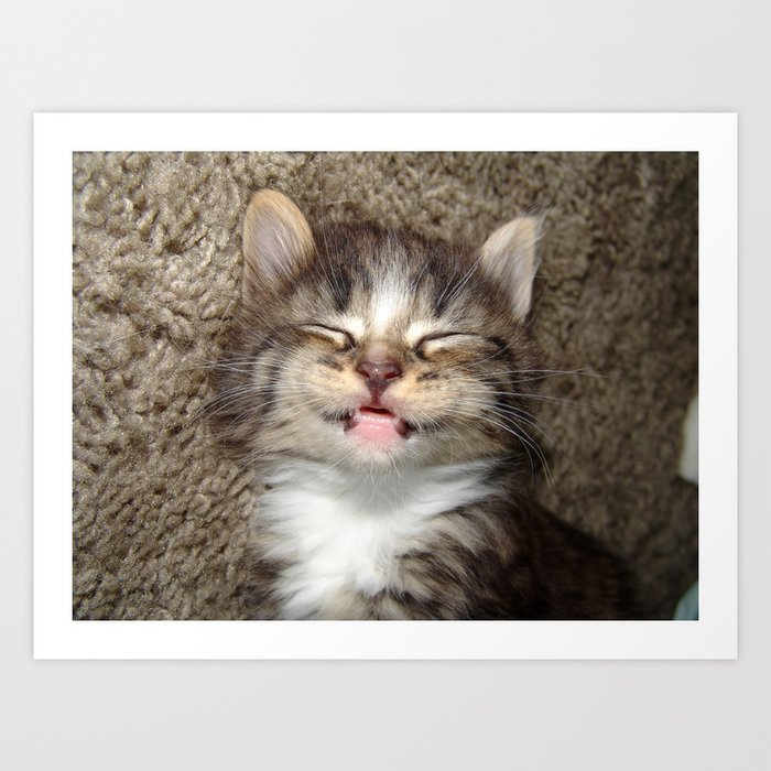 Kitten Smile Art Print