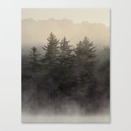 the coming light Canvas Print