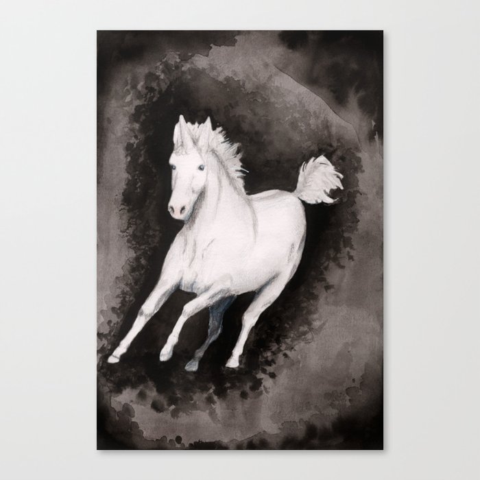 Unicorn no. 1 Canvas Print