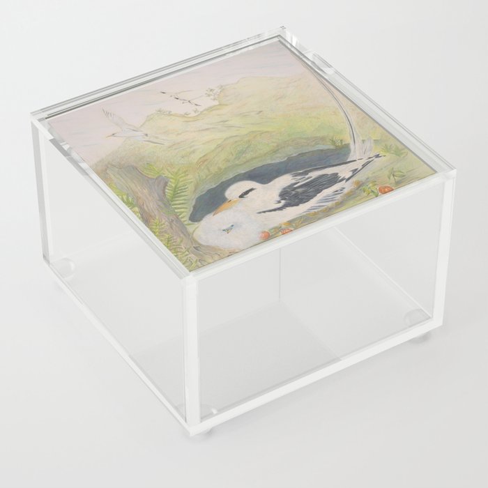 Longtail  Acrylic Box